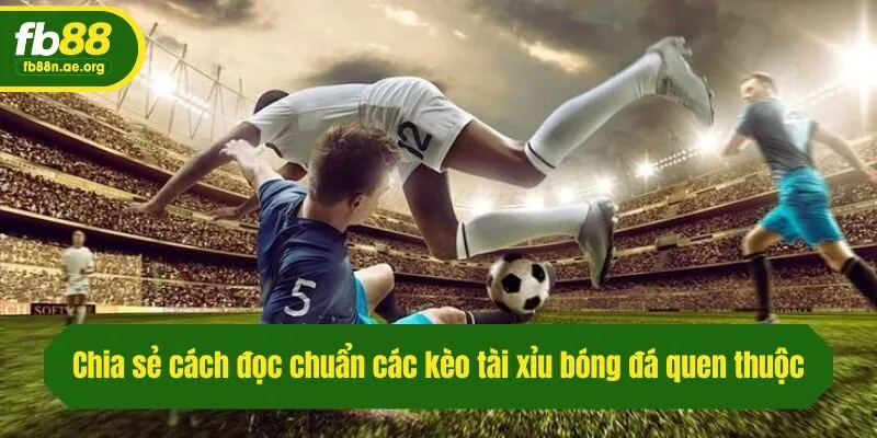 Chia sẻ cách đọc chuẩn các kèo tài xỉu bóng đá quen thuộc