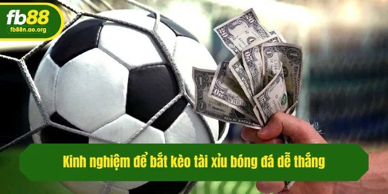 Kinh nghiệm để bắt kèo tài xỉu bóng đá dễ thắng