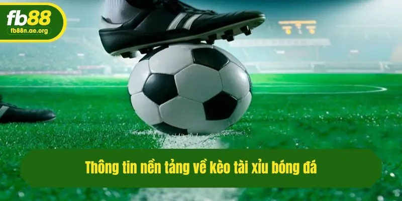 Thông tin nền tảng về kèo tài xỉu bóng đá