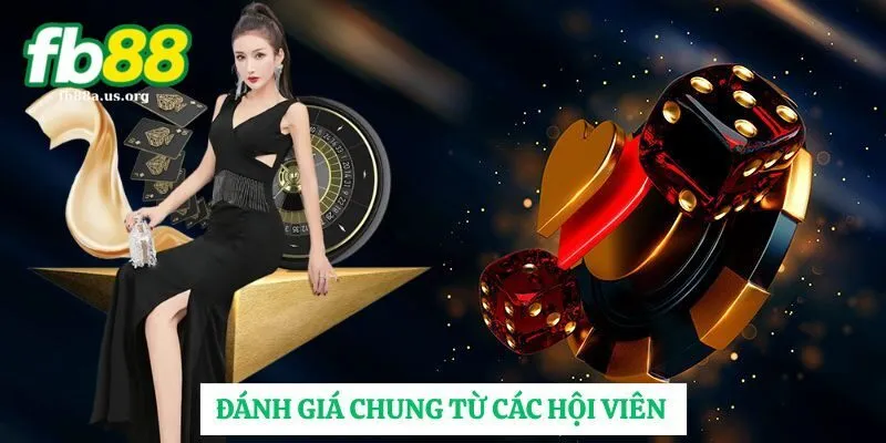 Đánh giá chung từ các hội viên