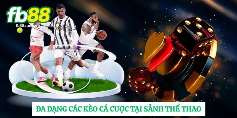 Đa dạng kèo cá cược tại sảnh thể thao